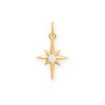 Dainty 14 Karat Gold Plated CZ Northern Star Charm