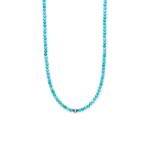 16 + 2 Stabilized Magnesite and Oxidized Bead Necklace
